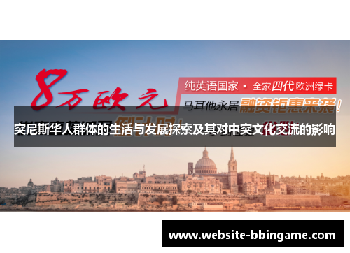 突尼斯华人群体的生活与发展探索及其对中突文化交流的影响